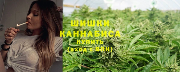 MESCALINE Баксан