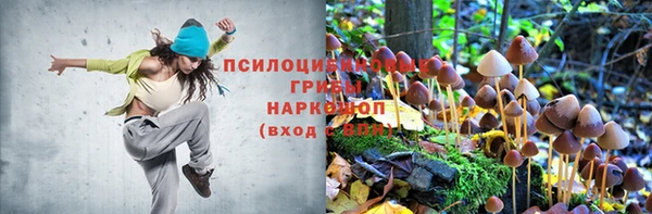 дживик Балабаново